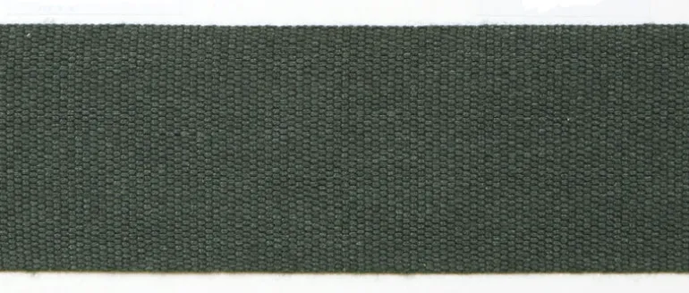 Le Lin 2" Tape Spruce Europatex Trim