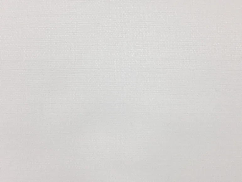 Linsen Ostrich Europatex Fabric