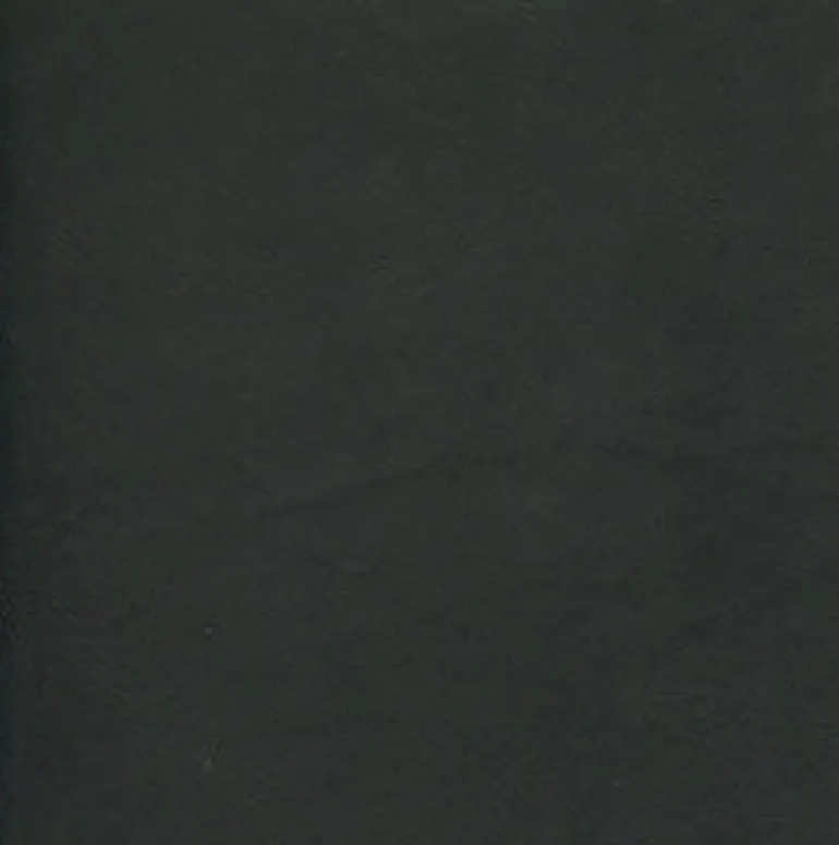 Lunar Black 400 Fabric