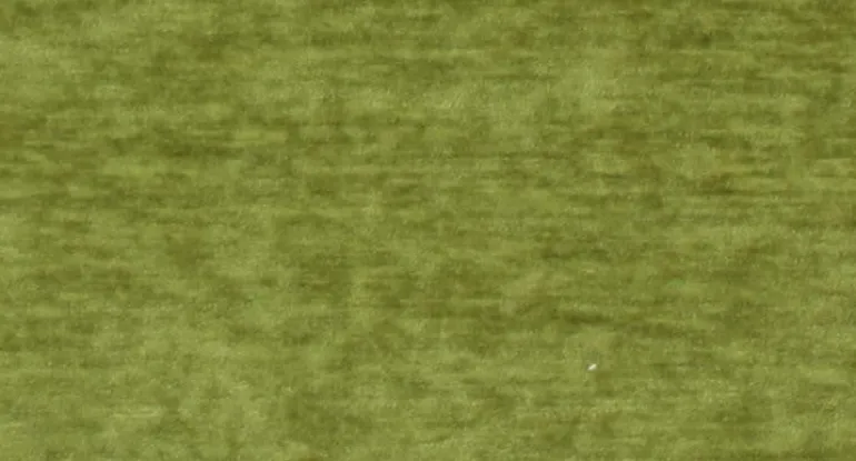 Lush Avocado Crypton Fabric