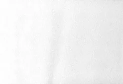 Malkmus Paintable Shell Texture Wallpaper