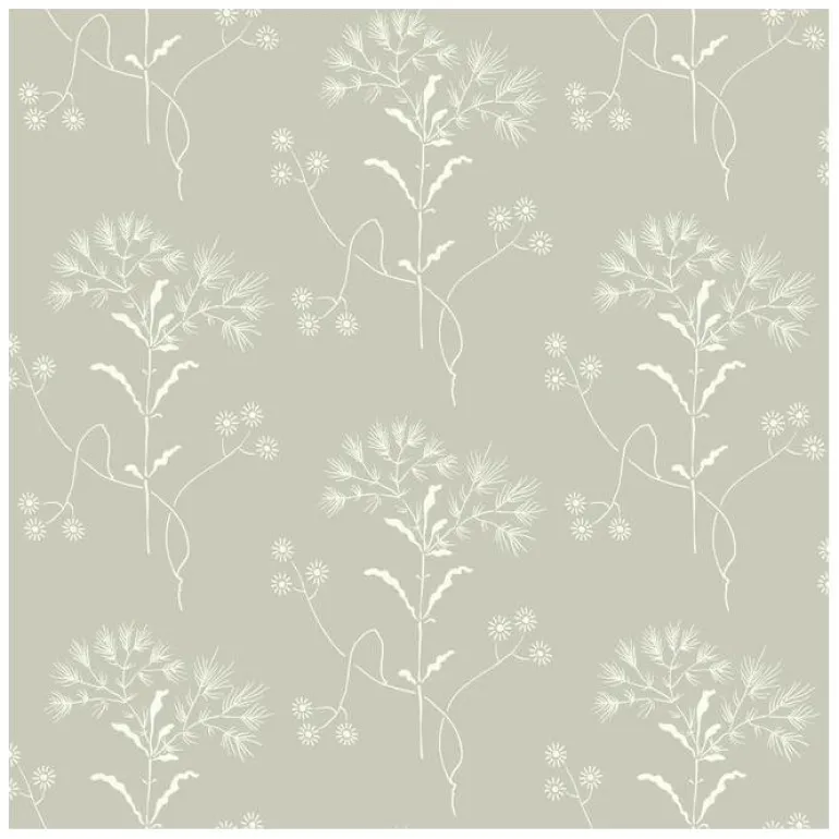 ME1516 Wildflower Magnolia Home Wallpaper