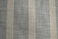 Mesmerize Robin's Egg P Kaufmann Fabric