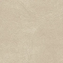 Midship 649 Almond Fabric