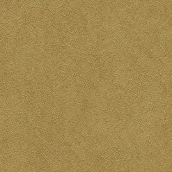 Midship 8884 Rawhide Fabric