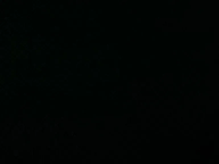 Milo 947 Noir Covington Fabric