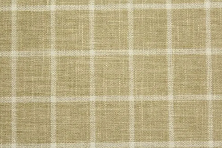 Montparnasse Midas Swavelle Mill Creek Fabric