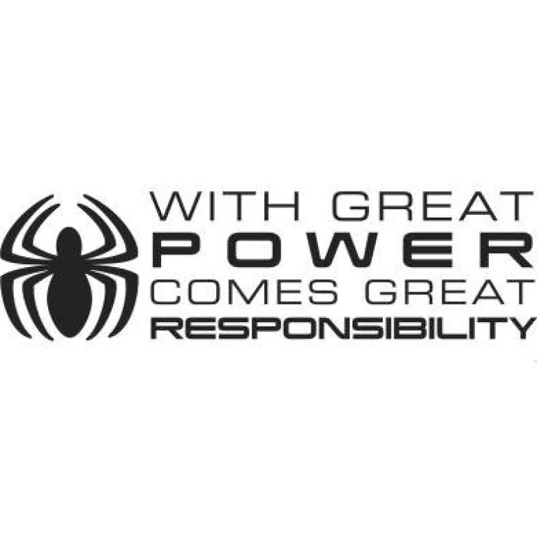 Murals Spider-Man Quote Wall Decals Mural