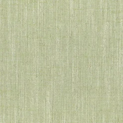 Nate Lime Regal Fabric
