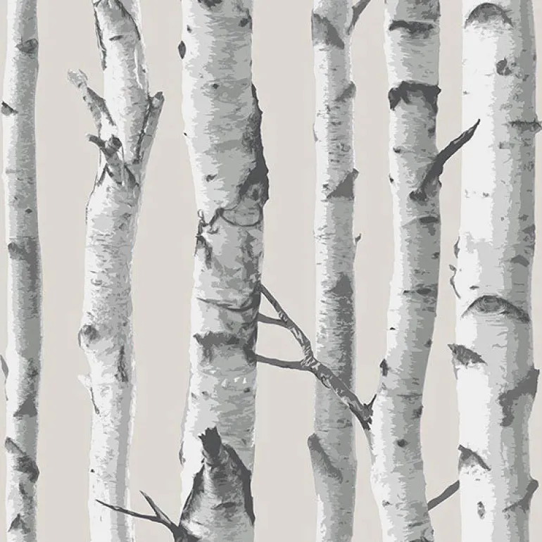 NU1650 Birch Tree Peel And Stick Wallpaper