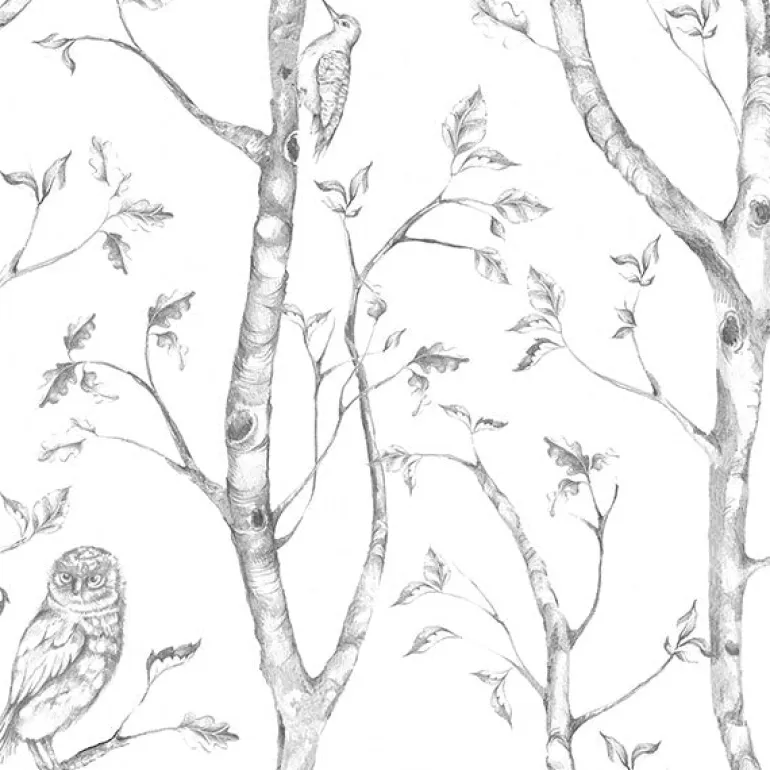 NU1412 Grey Woods Peel And Stick Wallpaper
