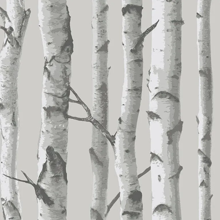 NU1694 Mountain Birch Grey Peel and Stick Wallpaper