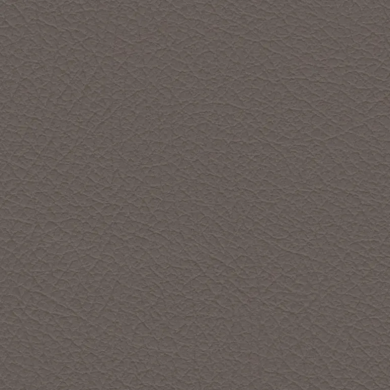 Nuance 2454 Fawn Fabric