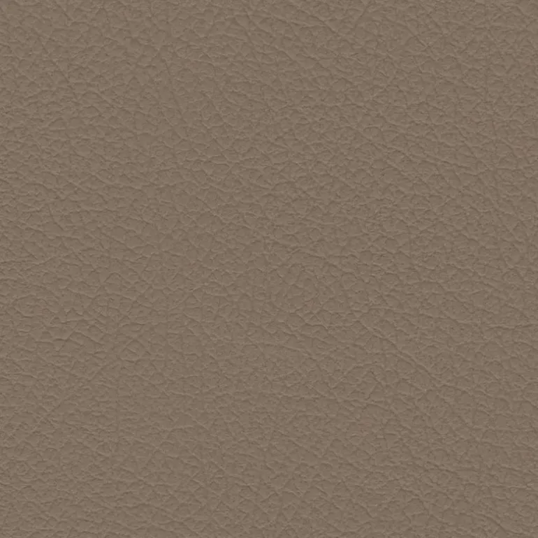 Nuance 2453 Sandstone Fabric