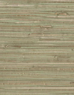 NZ0780 Green Natural Grasscloth York Wallpaper