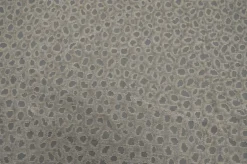 Ocelot Silver King Textiles Fabric