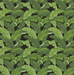 OD Belize Black Tempo Fabric
