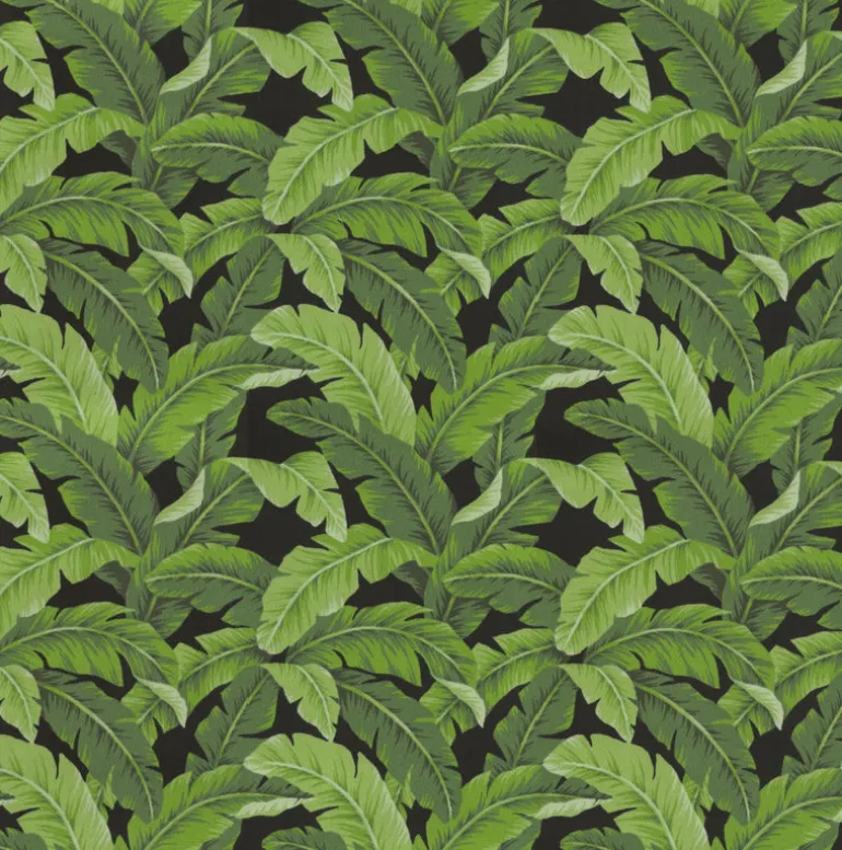 OD Belize Black Tempo Fabric