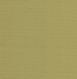 OD La Playa Lime Tempo Fabric