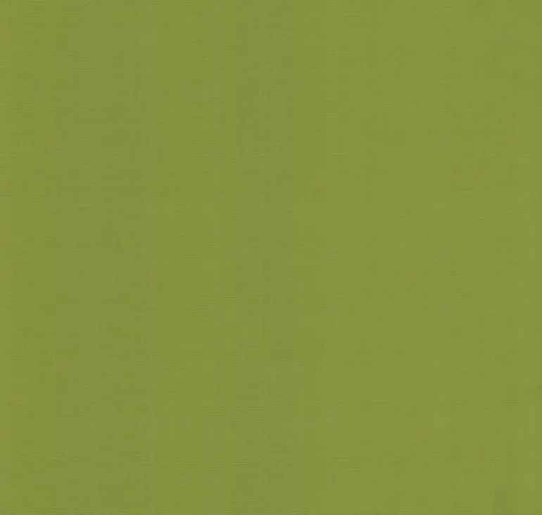 OD Sunsetter Verde Tempo Fabric