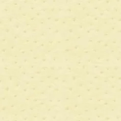 Ostrich 66 Moonbeam Fabric