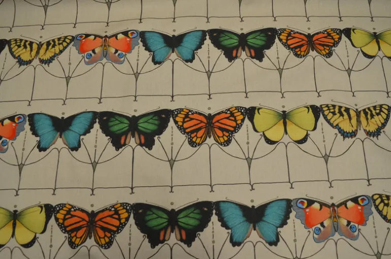 Papillon Carnival Hamilton Fabric