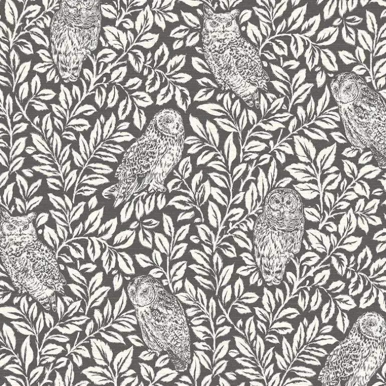 Parliament Brown Owl Wallpaper