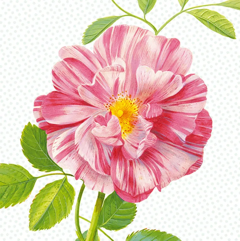 Peony Wall Mural