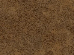 Pinto Saddle Culp Fabric
