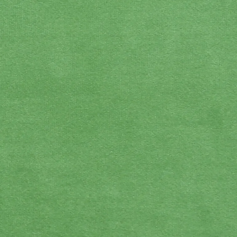 Plush 13 Europatex Fabric
