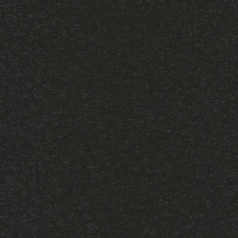 Pounce Charcoal Regal Fabric