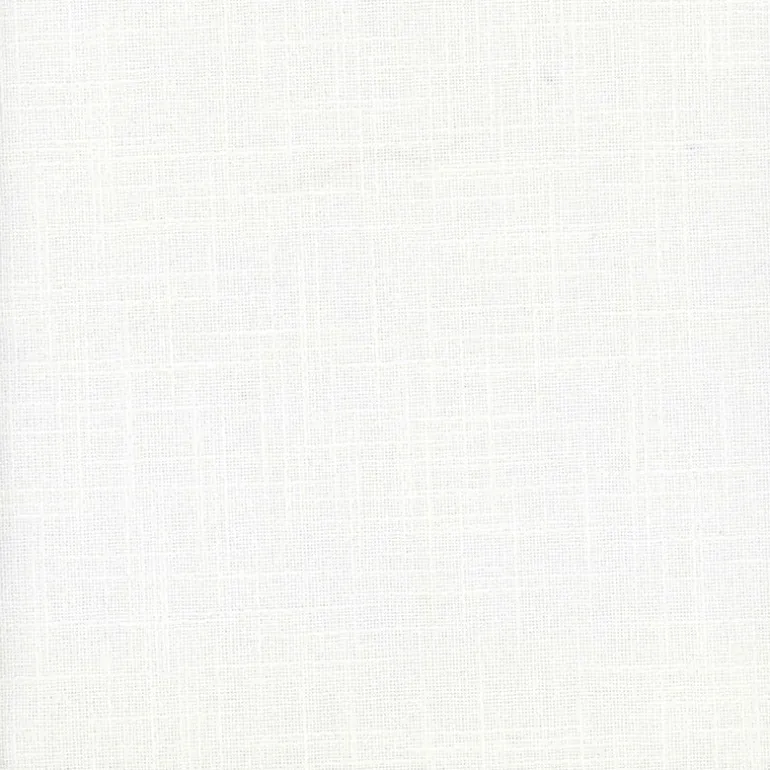 Punjab White Heritage House Fabric