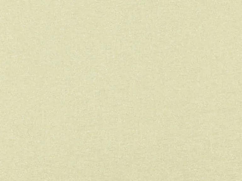Radiance Champagne Covington Fabric