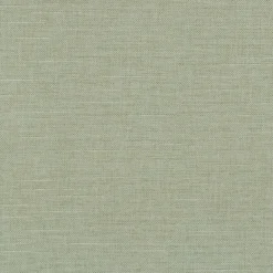 Reba 409121 Celery PKL Studio Fabric