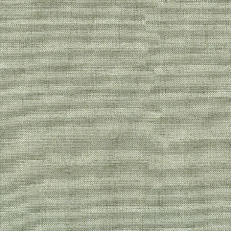 Reba 409121 Celery PKL Studio Fabric