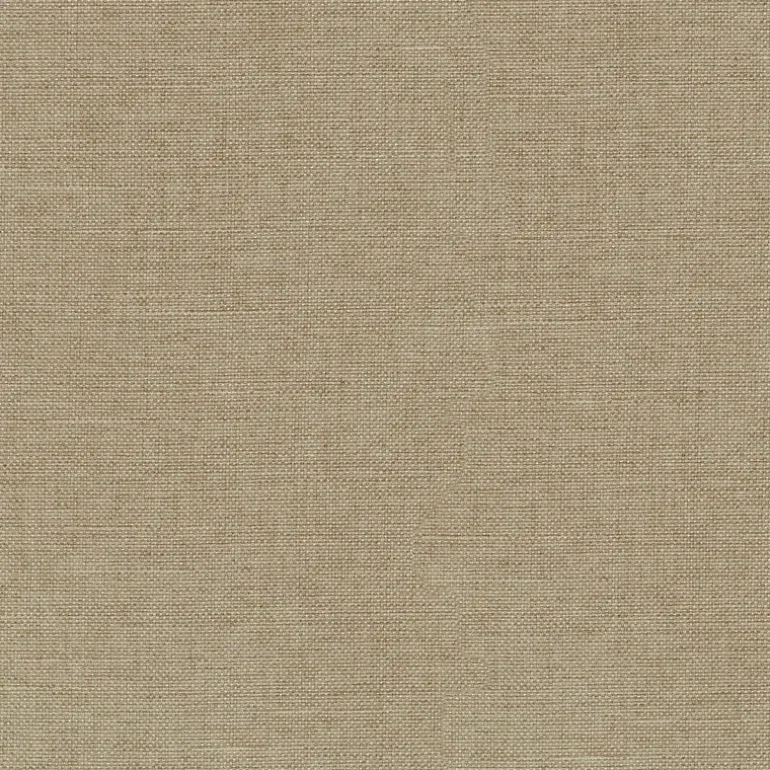 Reba 409115 Linen PKL Studio Fabric