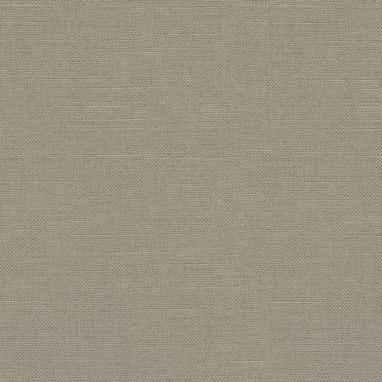 Reba 409113 Taupe PKL Studio Fabric