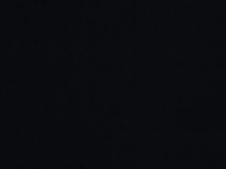 Redford Ebony Covington Fabric