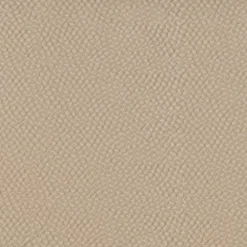 Renee 409962 Cameo PKL Studio Fabric