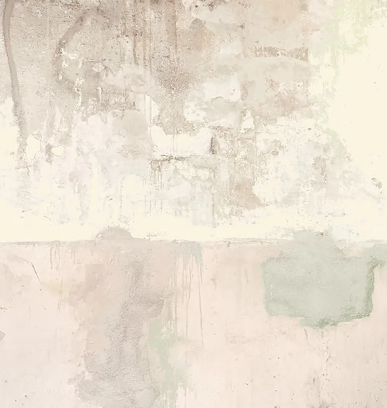 Resource Pale Pink Weathered Wall Mural
