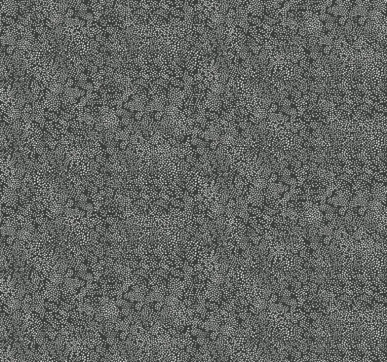 RI5111 White/Black Champagne Dots Wallpaper
