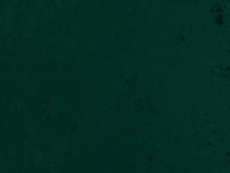 Saxony 207 Evergreen Covington Fabric