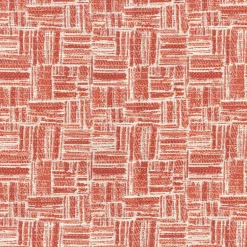Scratch Coral Regal Fabric