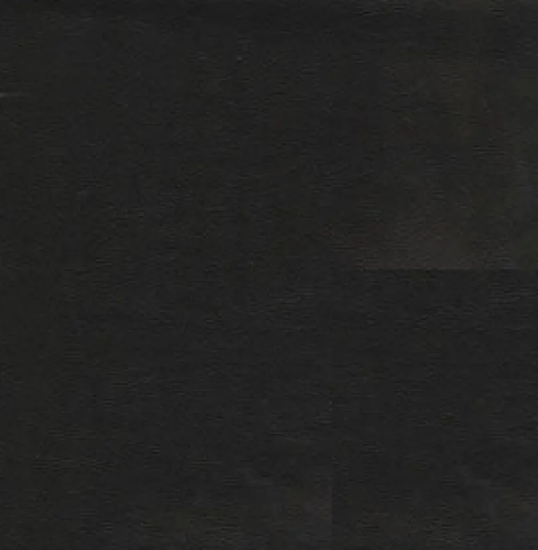 Sierra 9009 Black Fabric