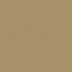 Silvertex 8808 Champagne Fabric