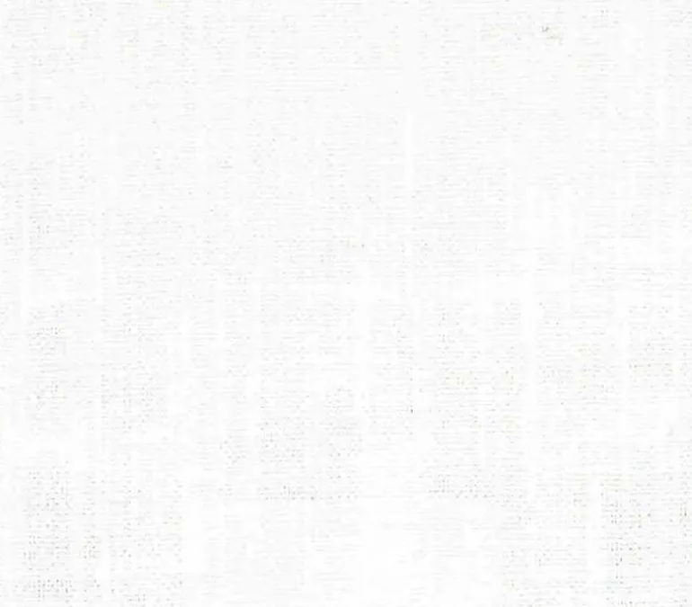 Speedy Snow P Kaufmann Fabric