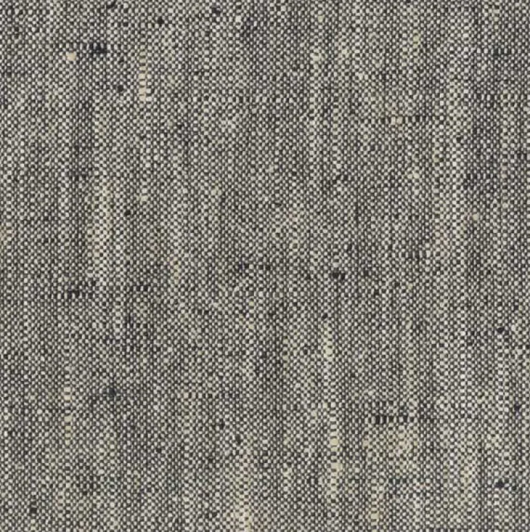 Speedy Thunder P Kaufmann Fabric
