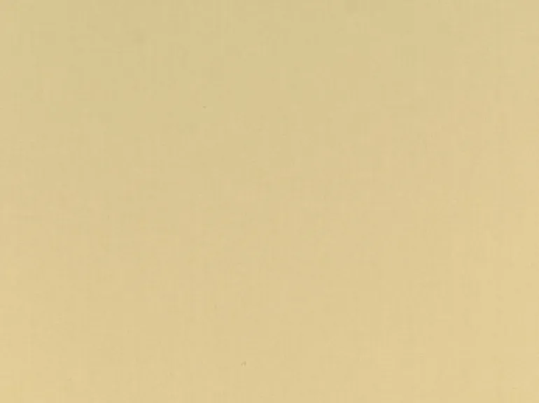 Spinnaker Canvas Covington Fabric