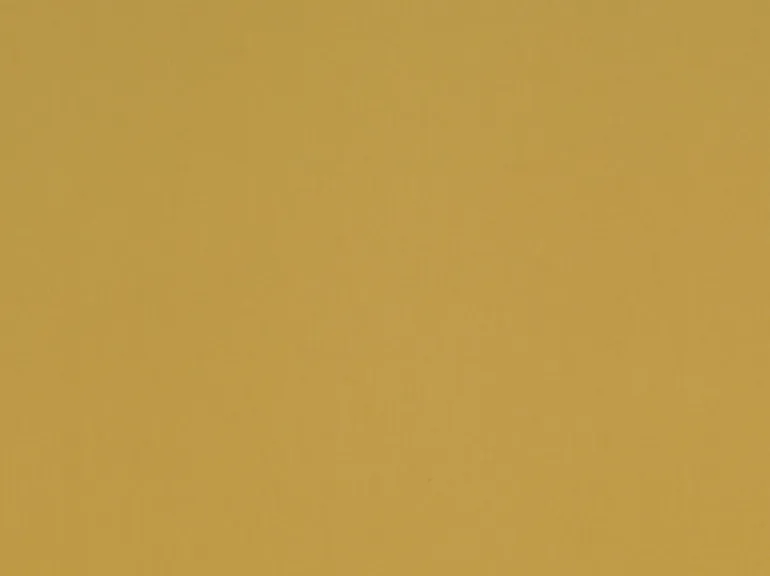 Spinnaker Dust Storm Covington Fabric