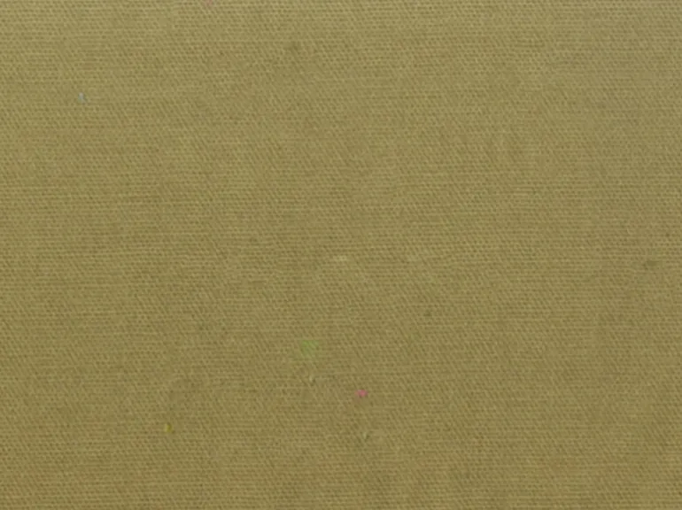 Spinnaker Pear Covington Fabric
